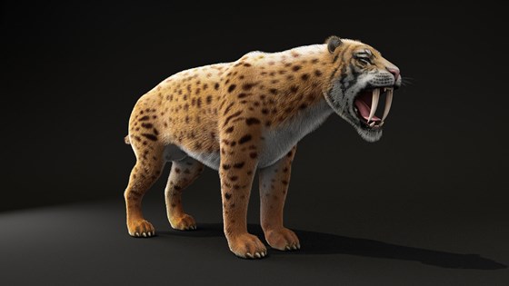 3д работы: smilodon