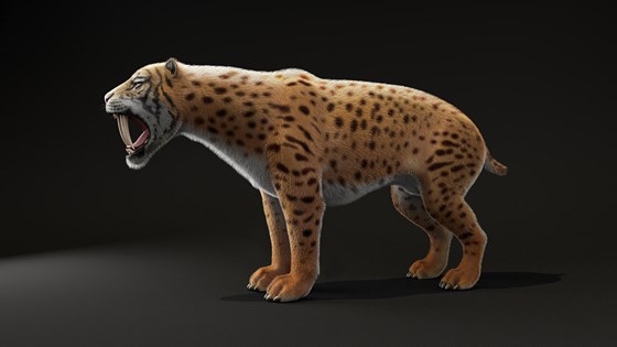 3д работы: smilodon
