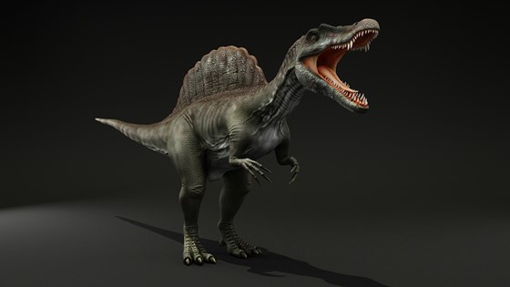 3д работы: Spinosaurus