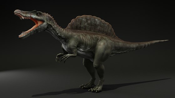 3д работы: Spinosaurus