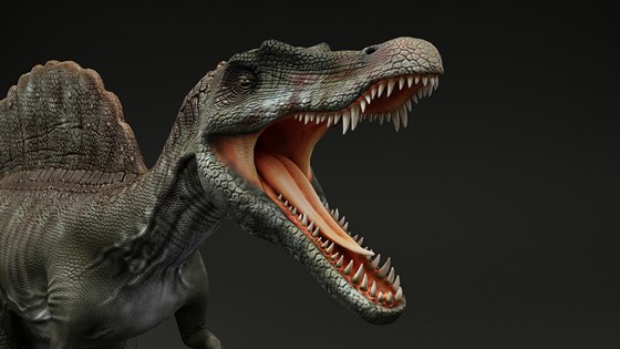 3д работы: Spinosaurus