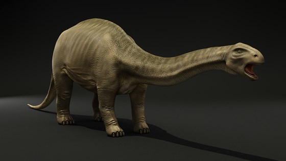 3д работы: brontosaurus