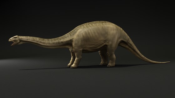 3д работы: brontosaurus