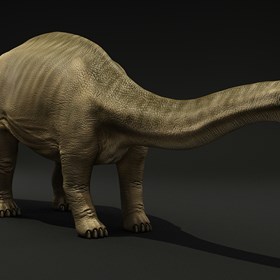3д работы: brontosaurus